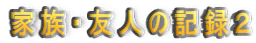 28N1̕